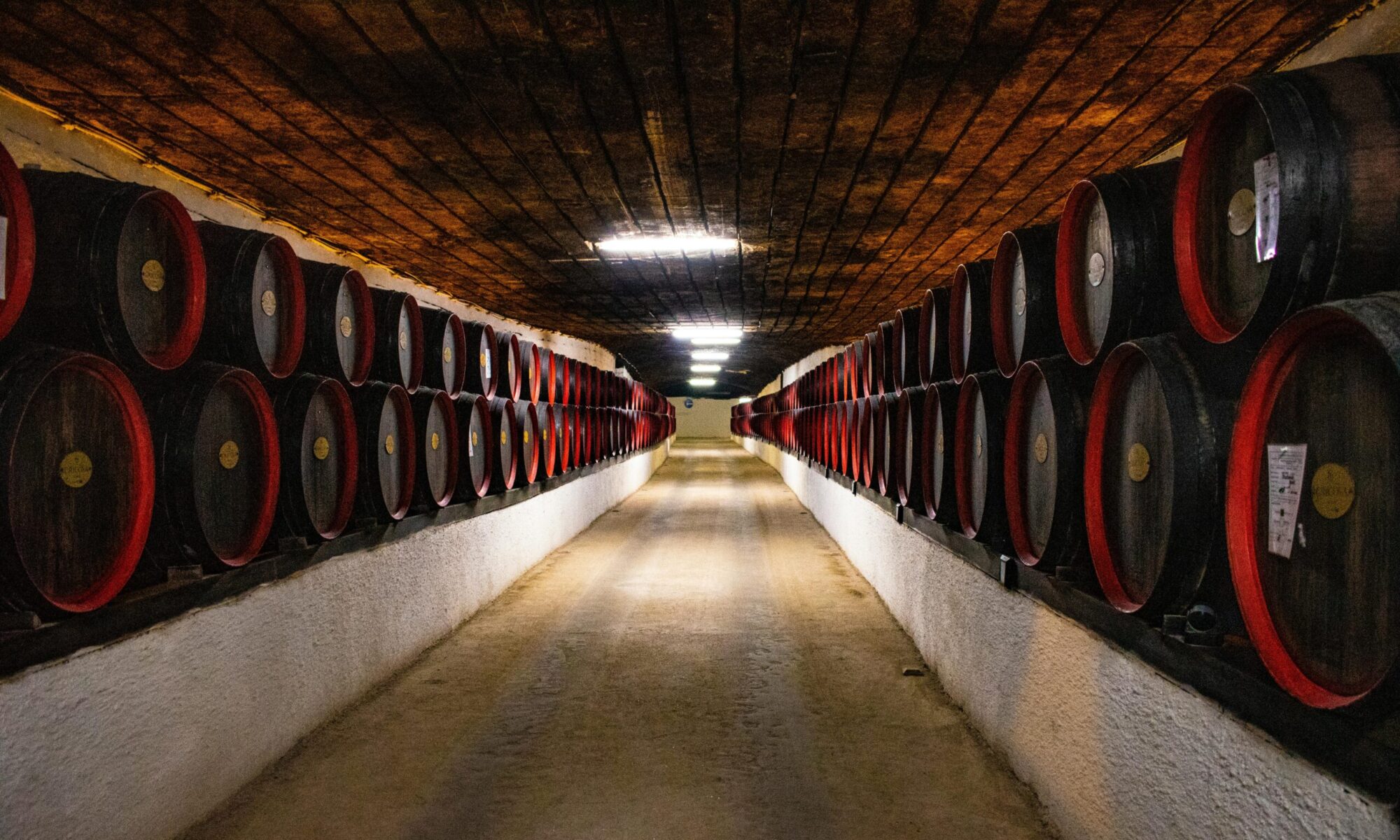 Long corridor of wooden barrels in a winery cellar, perfect for wine production and aging.